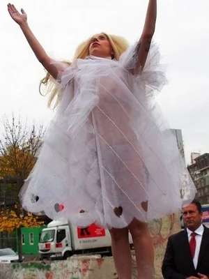 Леди Гага голая - 22